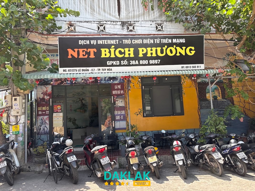 Bè Nổi Sinh Thái BB tại Vũng Rô