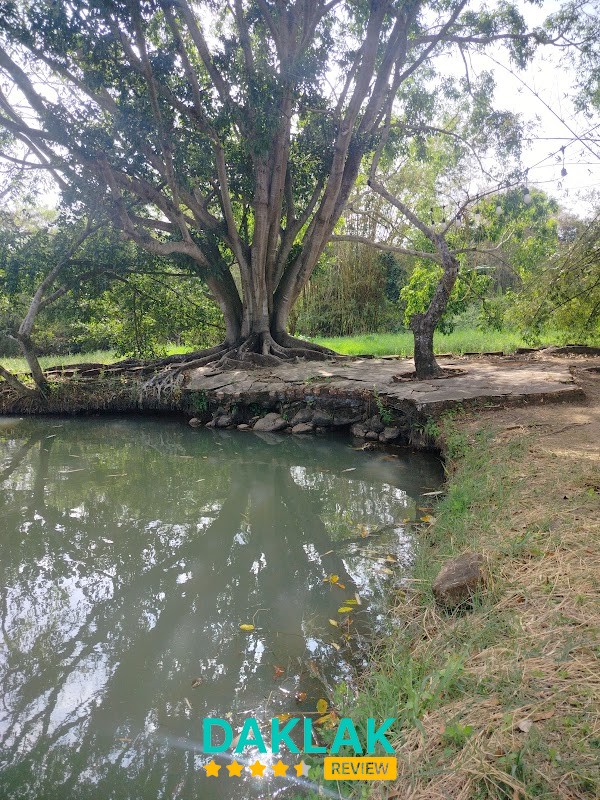 Khu vực câu tại Hồ Ông Bích