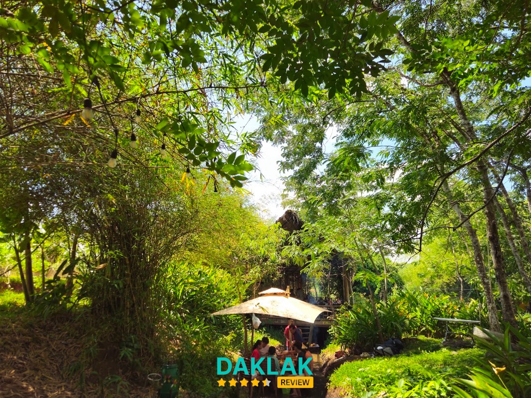 Không gian suối tại SUNFLOWER CAMPING