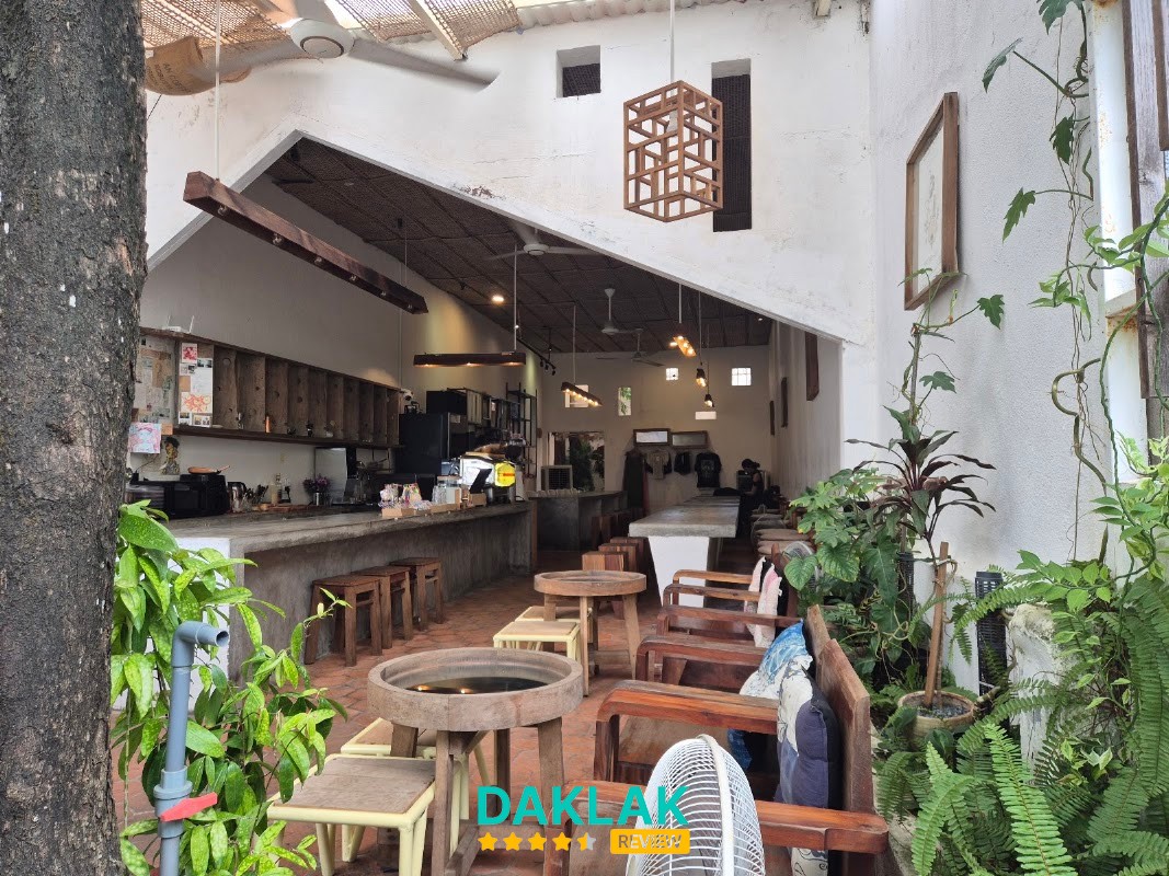 n o o n c o n c e p t – hình ảnh 2