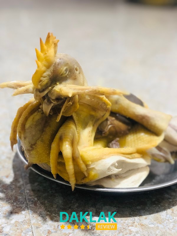 Gà chỉ Cây bàng quán gà nướng Tuy Hòa