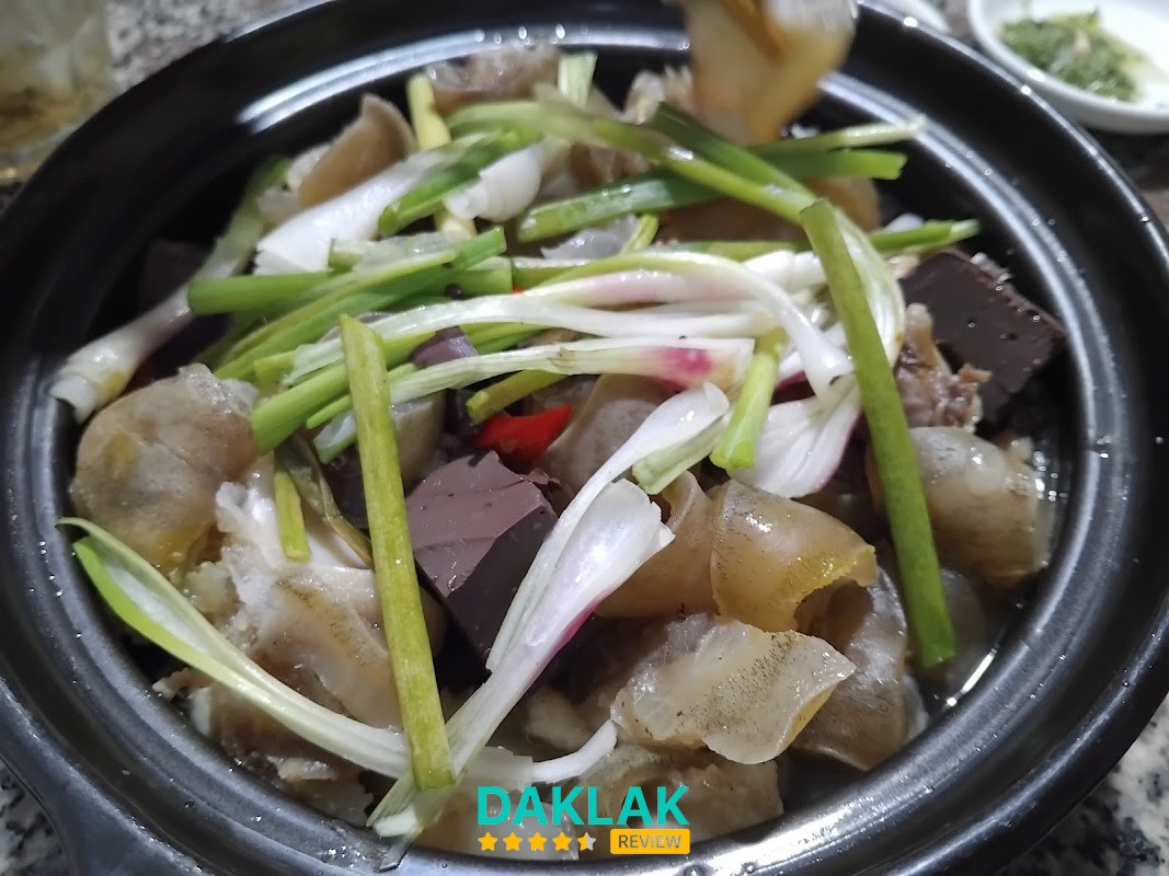 Gà chỉ Cây bàng – hình ảnh 2