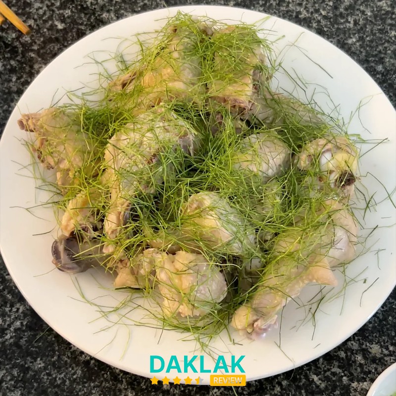 Gà chỉ Cây bàng – hình ảnh 3