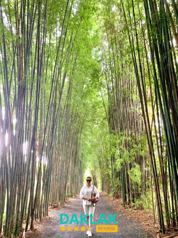 Không gian check-in Kôtam Đắk Lắk