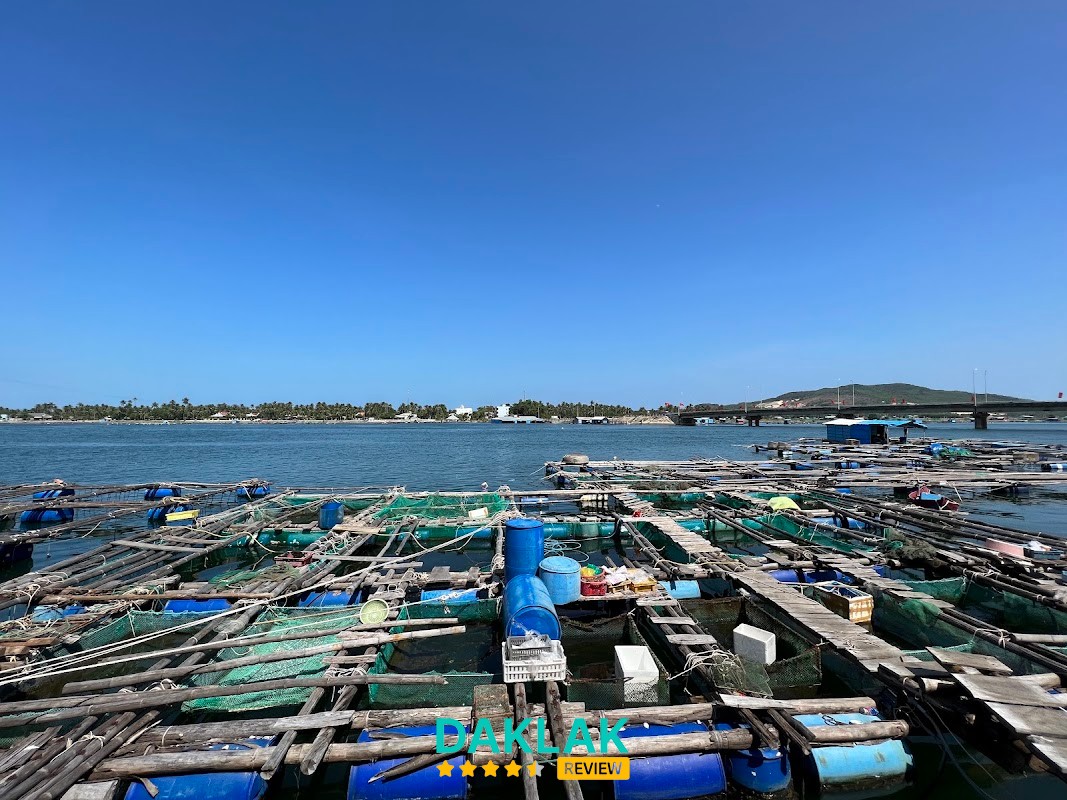 Quán Hai Bông Hải Sản – hình ảnh 3