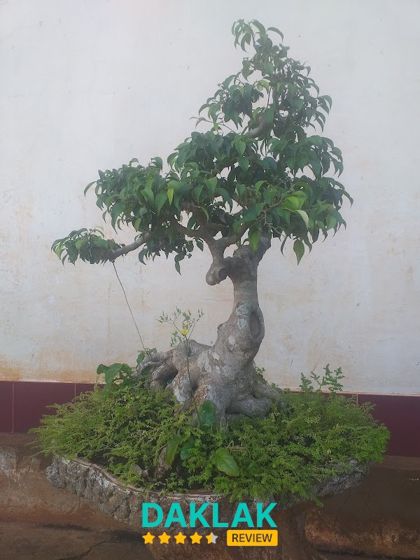 QUÁN BÚN KHƯƠNG BÍCH - hình 1