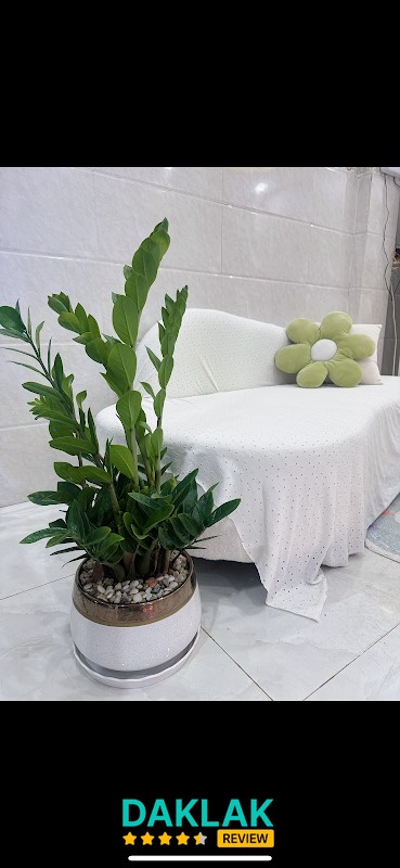 Tiệm Gội Đầu Nhật Linh – hình ảnh 3