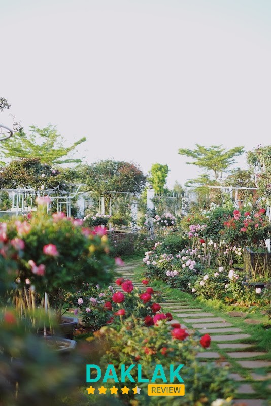 Không gian cắm trại tại Đại Lộ Hoa Hồng