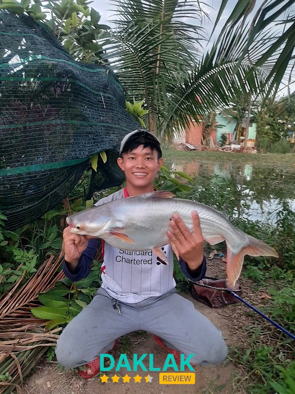 Hình ảnh tham khảo Hồ Câu Tấn Nhị