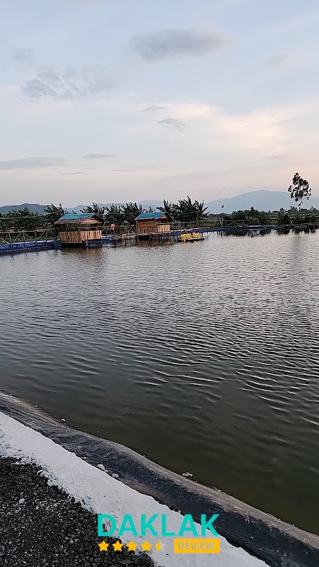 Không gian câu cá tại Bầu Sen