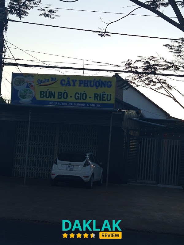 Quán ăn sáng Cư Bao - Quán ăn Cây Phượng