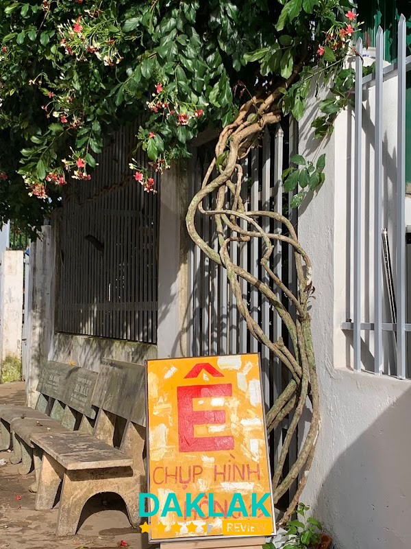 C3 STUDIO - Chụp ảnh Phước An – hình ảnh 2