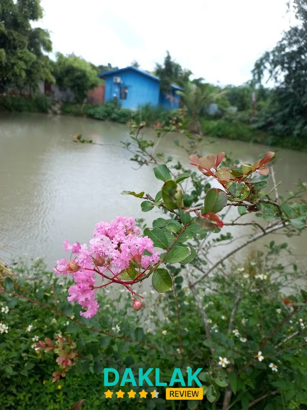 Hình ảnh thứ ba của Mộc Miên Homestay