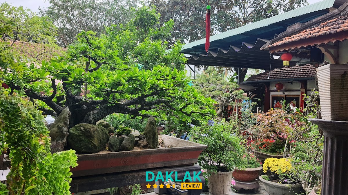 Oxy Garden Cafe – hình ảnh 3