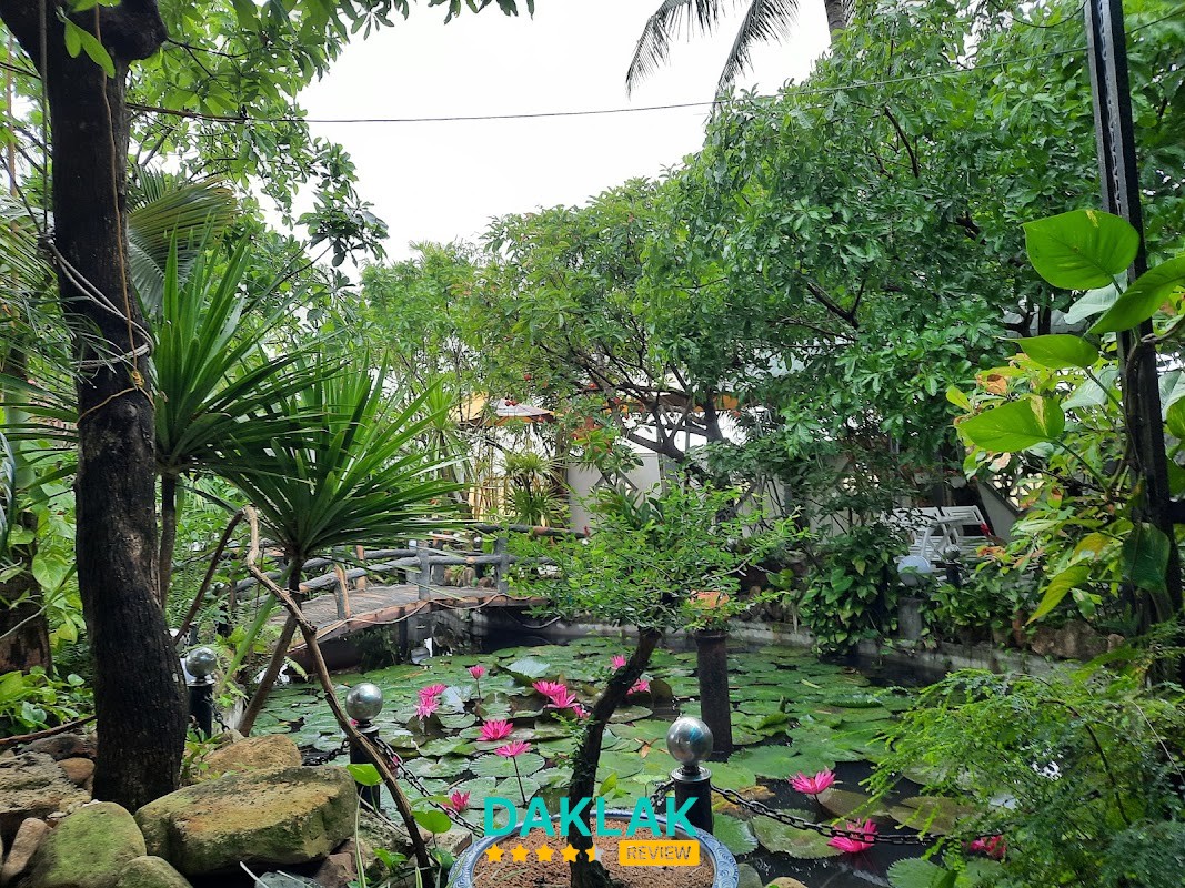 Cafe Vườn Dừa Đông Hòa – hình ảnh 2