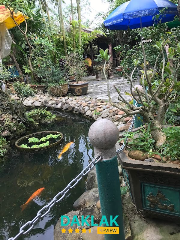 Cafe Sao Đêm – hình ảnh 2
