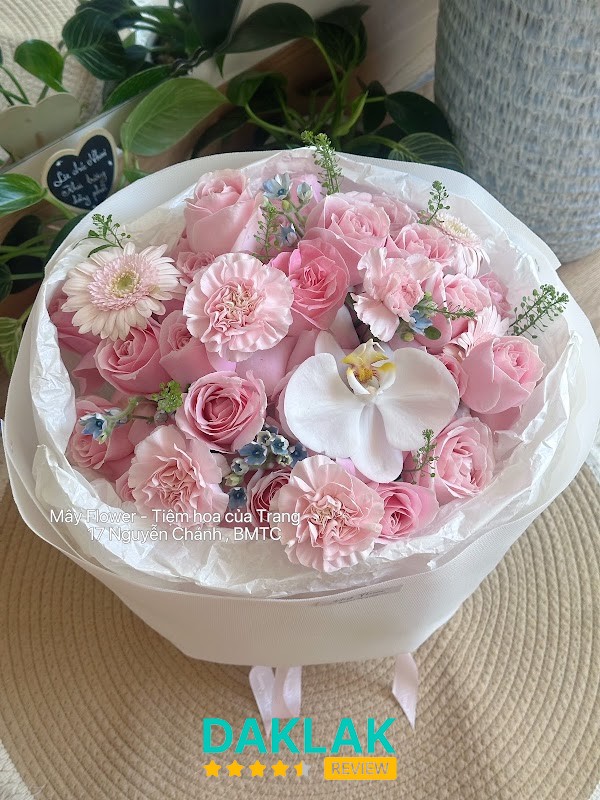 Mây Flower Buôn Ma Thuột