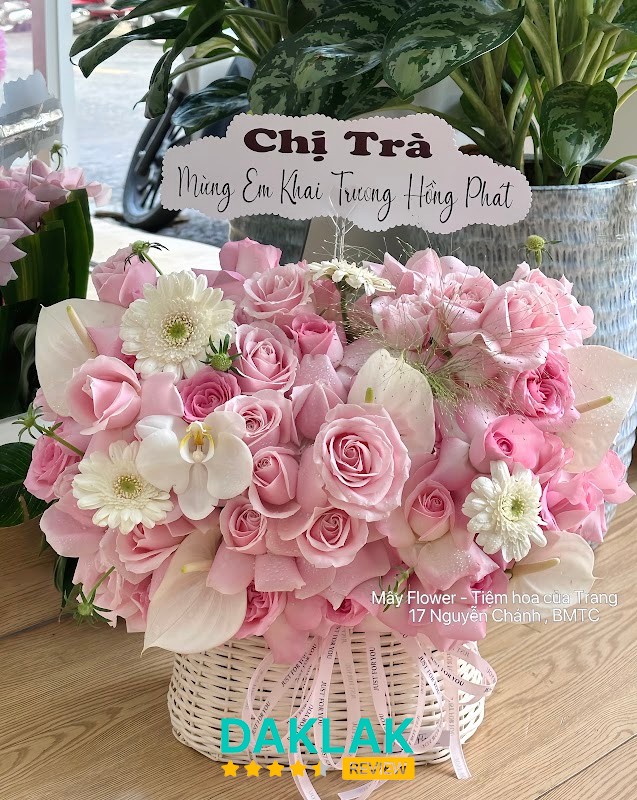 Mẫu hoa tại Mây Flower