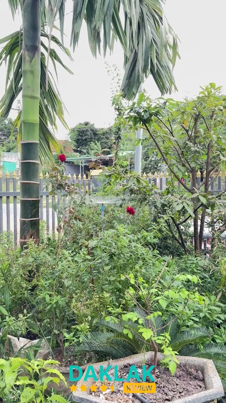 Không gian Cửa hàng Tạp hoá Ánh Huê