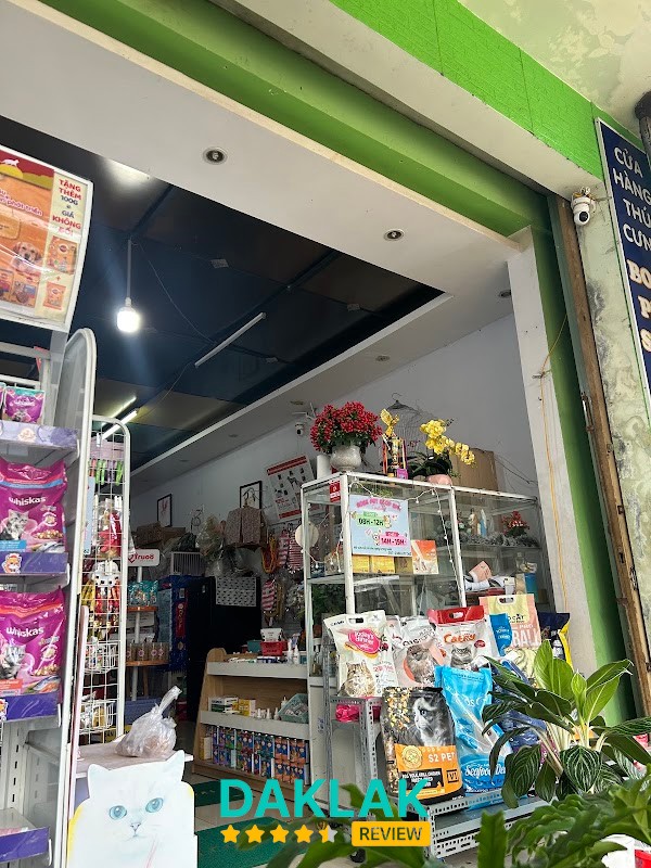 Không gian Boss Pet Shop BMT