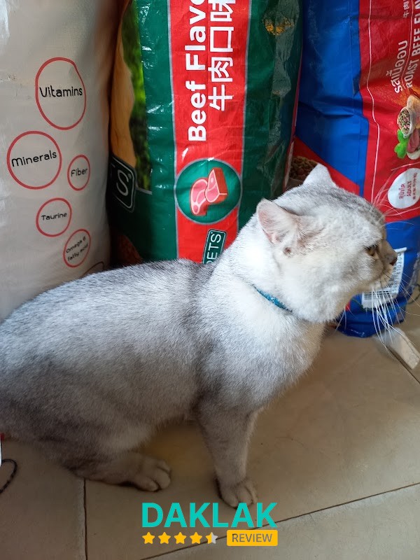 Đồ dùng thú cưng tại Happy Pet