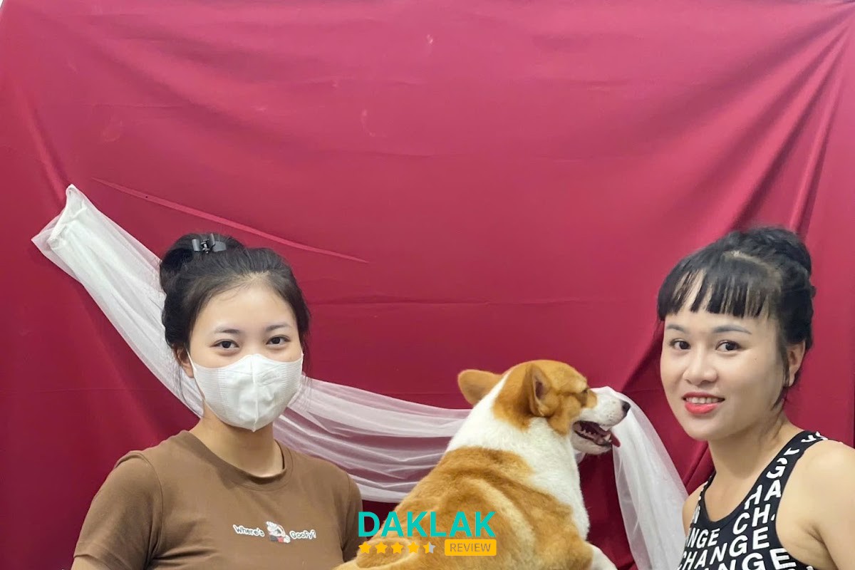 Sản phẩm thú cưng tại King Pet BMT