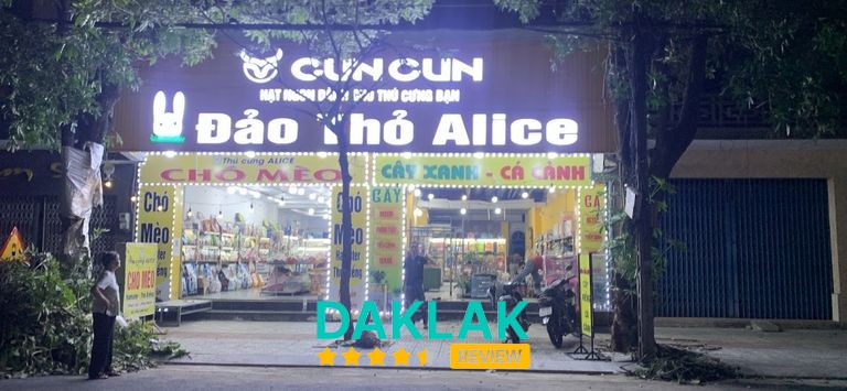 Không gian Shop thú cưng Alice Tuy Hòa