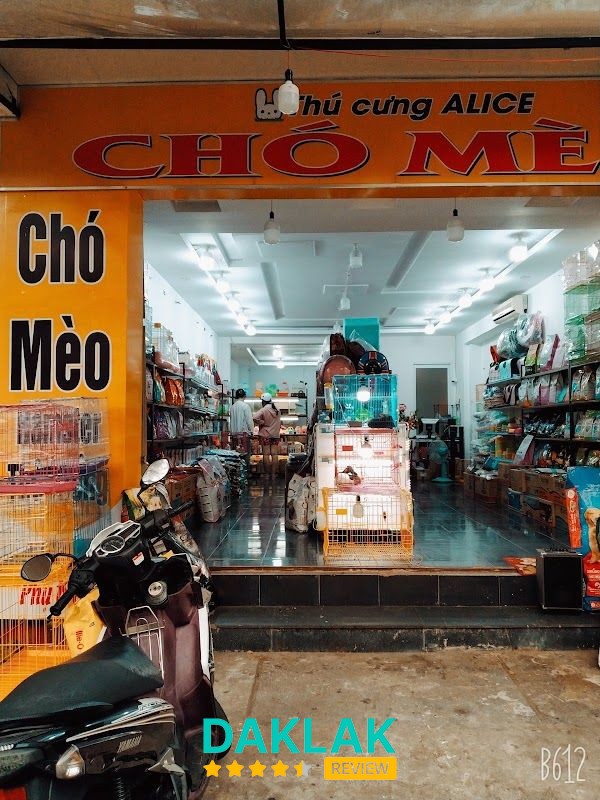 Đồ dùng và phụ kiện thú cưng tại Alice Tuy Hòa