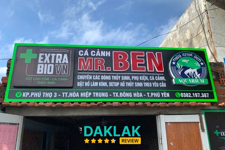 Cửa Hàng Cá Cảnh tại Tuy Hòa