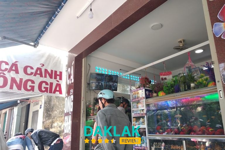 Cá cảnh và vật nuôi tại cửa hàng Trần Hưng Đạo