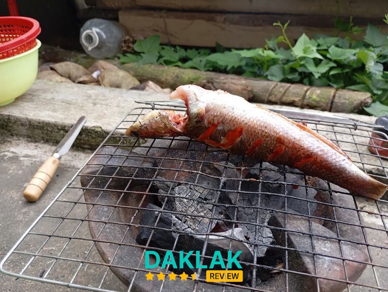 Không gian Cửa Hàng Cá Cảnh Tuy Hòa