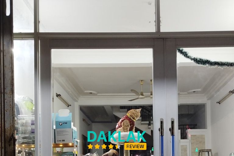 Cửa hàng thú cưng tại Tuy Hòa