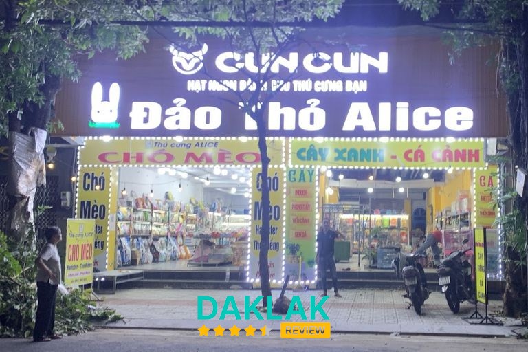 Vật nuôi tại Cửa hàng thú cưng Tuy Hòa
