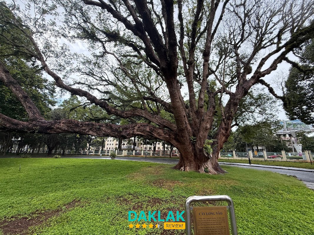 Không gian Biệt Điện Bảo Đại