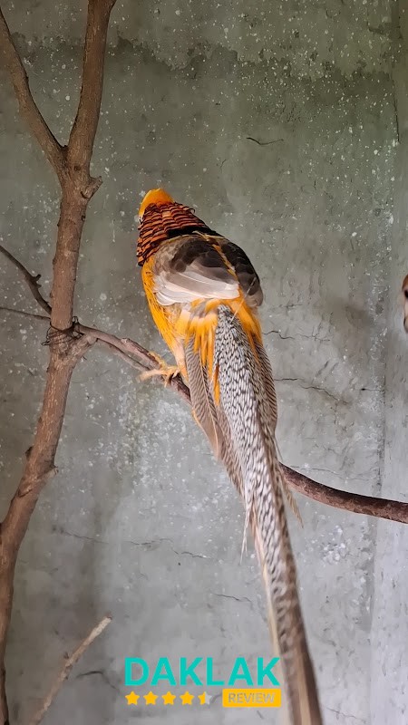 Khu vui chơi tại Suối Ong Buôn Ma Thuột