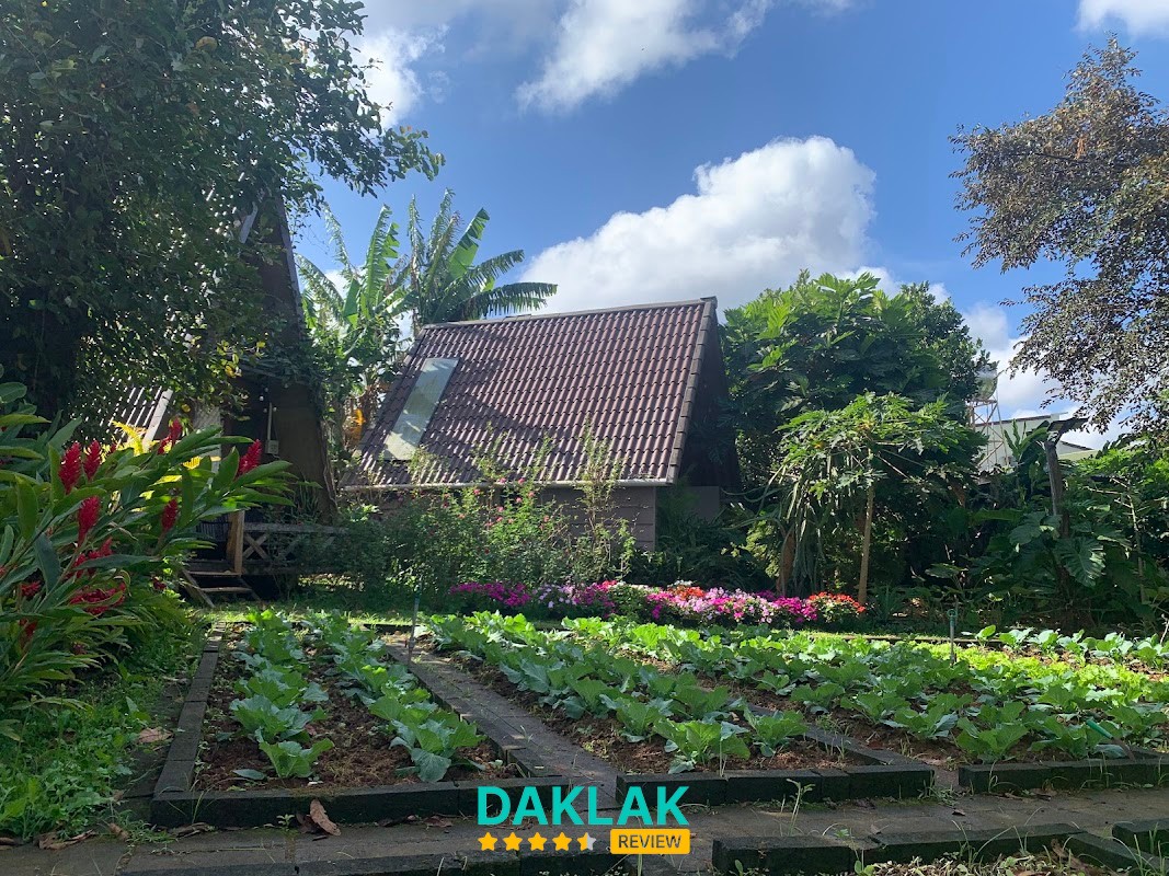 Không gian vườn Buon's Garden