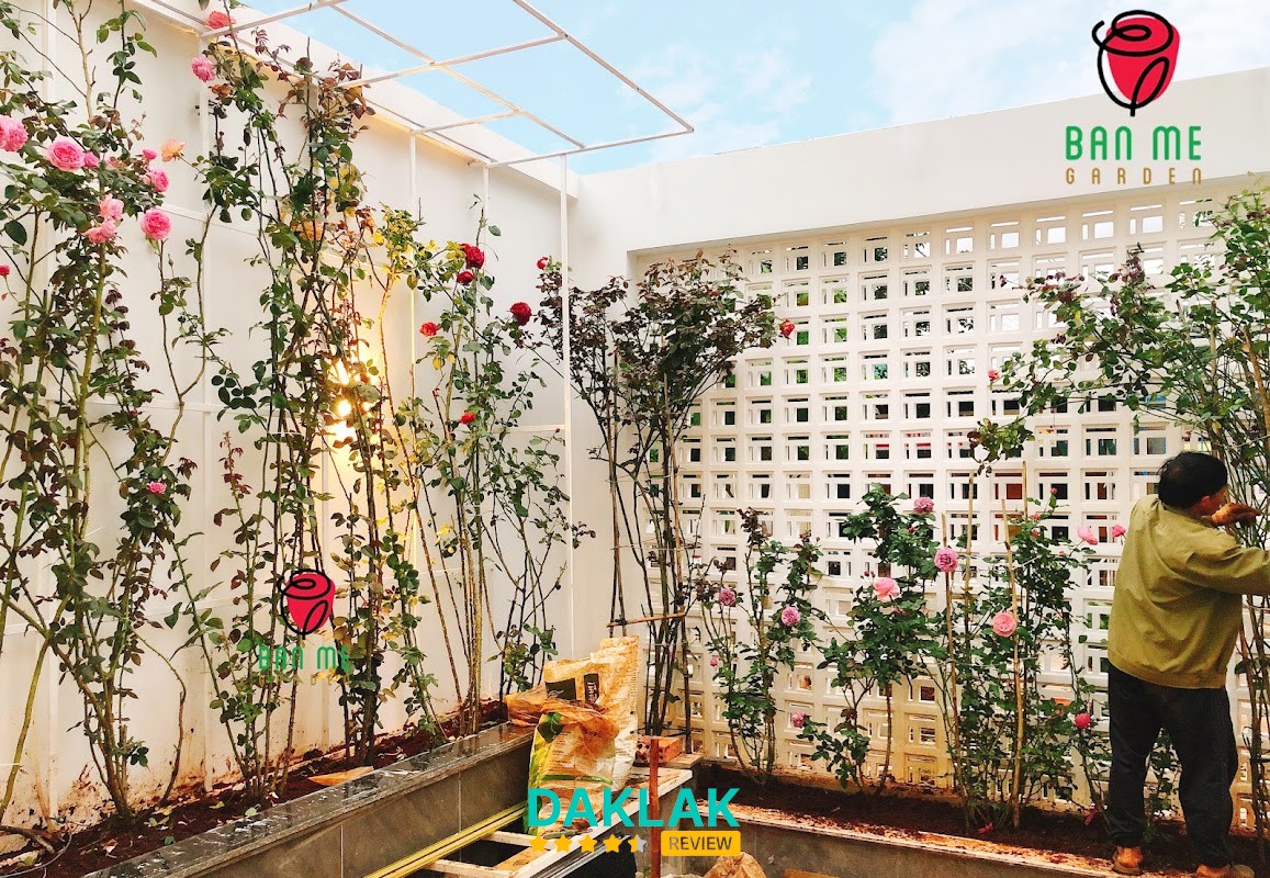 Ban Mê Garden Buôn Ma Thuột