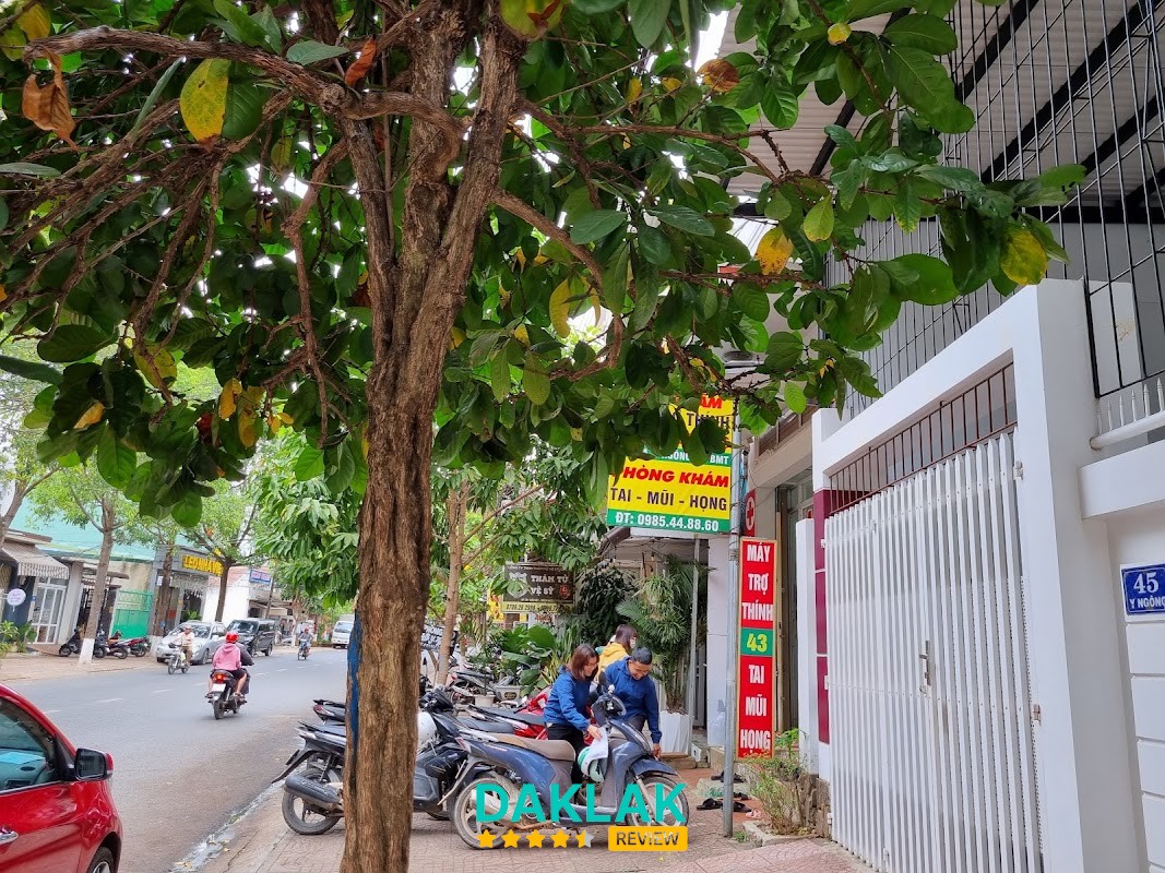 Phòng khám Tai Mũi Họng Bác sĩ Hoàng Anh Buôn Ma Thuột