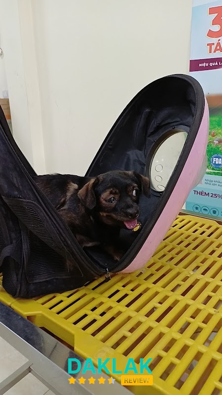 Hình ảnh Bệnh Viện Thú Y Ban Mê Vet - 2
