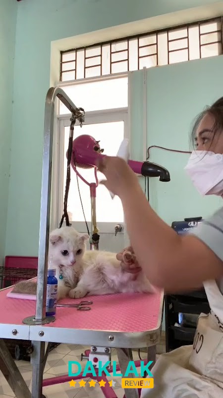 Thú y Blue Pet care - Phòng khám thú cưng Buôn Ma Thuột