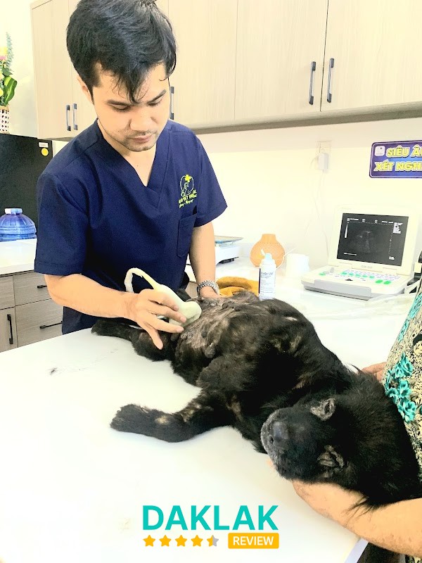 Bệnh Viện Thú Y HALO VET - Buôn Ma Thuột