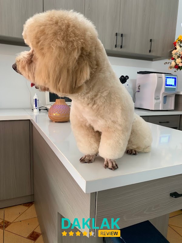 Hình ảnh Bệnh Viện Thú Y HALO VET - Buôn Ma Thuột - 2