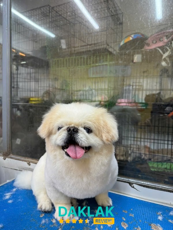 Hình ảnh Phòng Khám Thú Y Q&P PetLife - 2