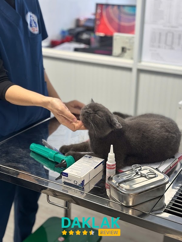 BỆNH VIỆN THÚ Y HEAL PET
