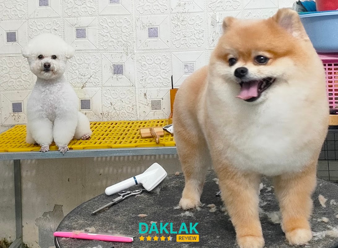 Phòng Khám Thú Y T-K Pet Clinic