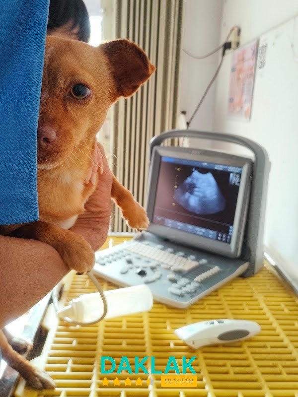 Hình ảnh Phòng Khám Thú Y T-K Pet Clinic - 2