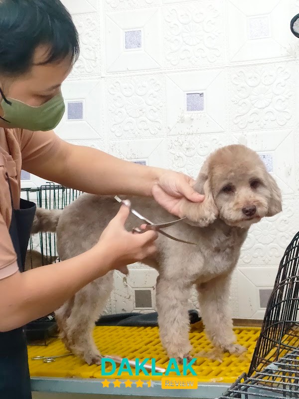 Hình ảnh Phòng Khám Thú Y T-K Pet Clinic - 3