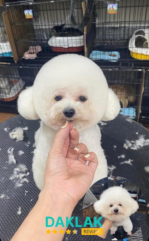 Phòng Khám Thú Y AnVi Pet Ea Kao