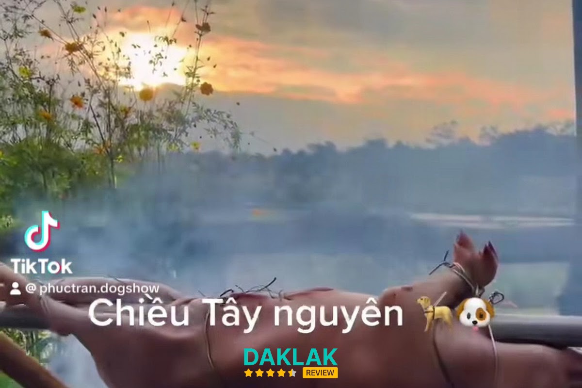 Không gian thú y tại Trọng Duyên Ea Kar