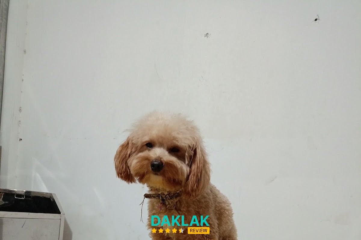 Hình ảnh Trạm Thú Y Ea Kar